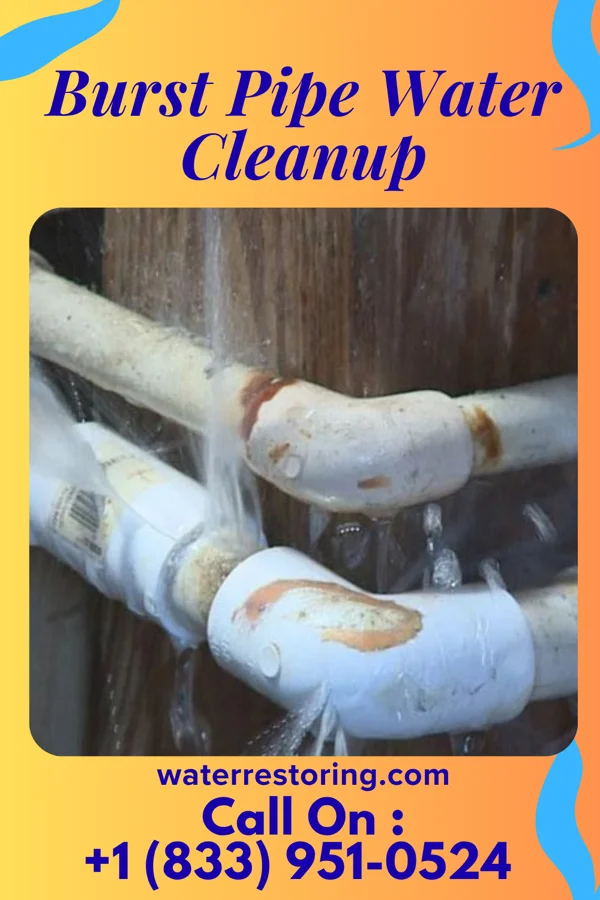 Burst Pipe Water Cleanup in Ollie, IA