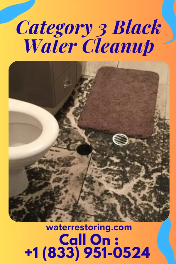 Category 3 Black Water Cleanup in Ollie, IA