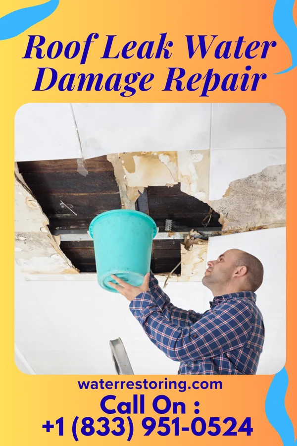 Roof Leak Water Damage Repair in Ollie, IA