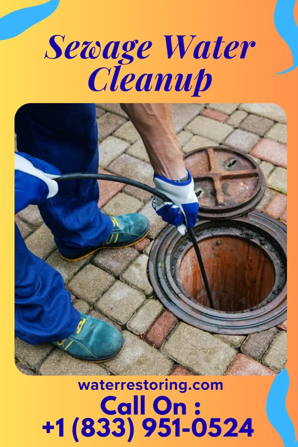 Sewage Water Cleanup in Ollie, IA
